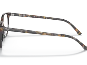 RAY-BAN VISTA ELLIOT RX5397 8173