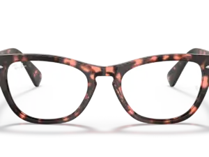 RAY-BAN VISTA LARAMIE RX2201V 8118