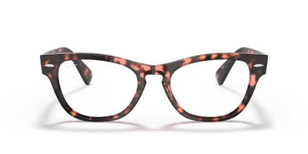 RAY-BAN VISTA LARAMIE RX2201V 8118