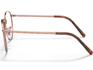 RAY-BAN VISTA NEW ROUND RX3637V 3094