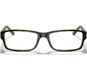 RAY-BAN VISTA  RX5169 2383