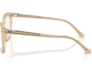 RAY-BAN VISTA  RX5433 8294