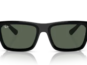RAY-BAN WARREN RB4396 667771
