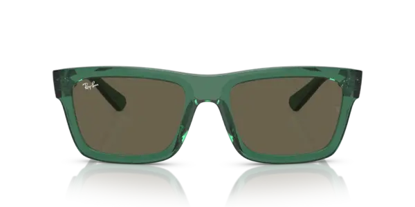 RAY-BAN WARREN RB4396 6681/3
