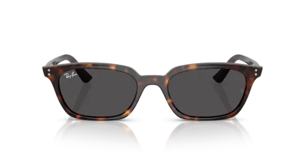 RAY-BAN ZAYA RB4456 135987