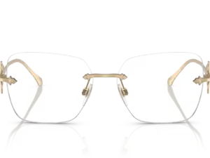 RALPH LAUREN  RL5130 9211