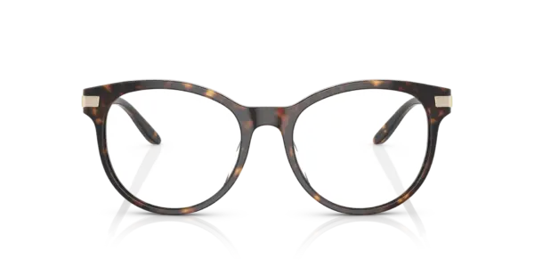 RALPH LAUREN  RL6231U 5003