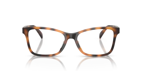RALPH LAUREN  RL6233U 5303