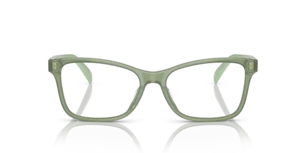 RALPH LAUREN  RL6233U 6049