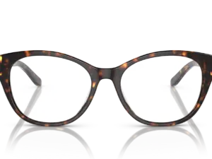 RALPH LAUREN  RL6235QU 5003