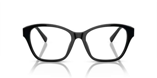 RALPH LAUREN  RL6236U 5001