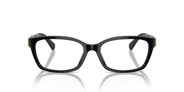 RALPH LAUREN  RL6244U 5001