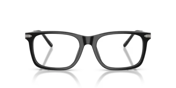 RALPH LAUREN  RL6253U 5001