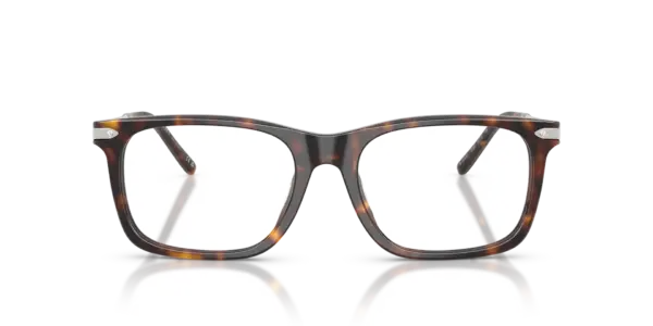 RALPH LAUREN  RL6253U 5003
