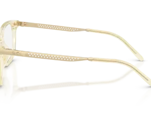 RALPH LAUREN  RL6253U 5034