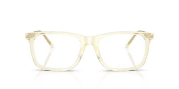 RALPH LAUREN  RL6253U 5034