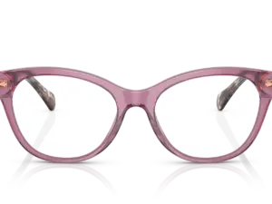 RALPH  RA7141 6008