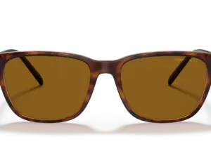 ARNETTE CORTEX AN4291 277083