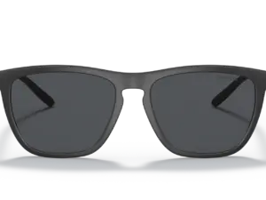 ARNETTE FRY AN4301 275887