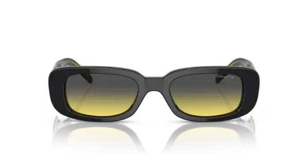 ARNETTE LITTY AN4317 12412Q