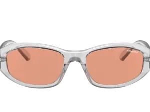 ARNETTE LIZARD AN4266 2634C6