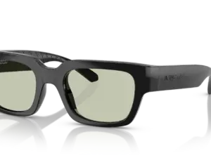 ARNETTE MYNDEGAP AN4354 2900/2
