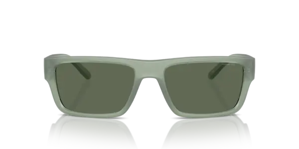 ARNETTE PHOXER AN4338 293971
