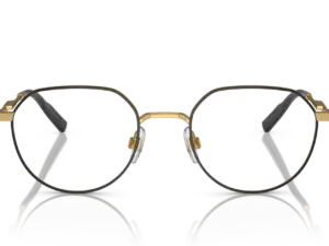 DOLCE & GABBANA  DG1349 1311