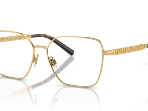 DOLCE & GABBANA  DG1351 02