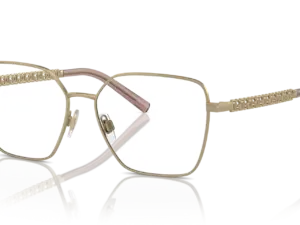 DOLCE & GABBANA  DG1351 1365