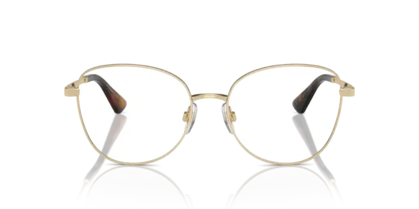 DOLCE & GABBANA  DG1355 1365
