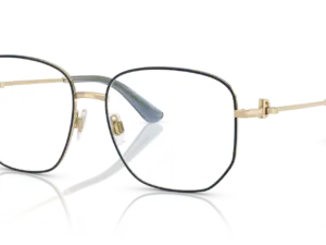 DOLCE & GABBANA  DG1356 488