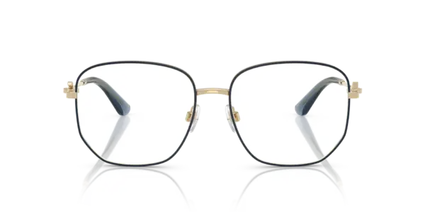 DOLCE & GABBANA  DG1356 488