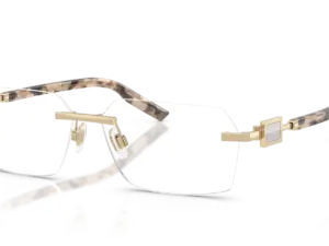 DOLCE & GABBANA  DG1361 488