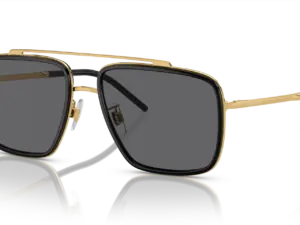 DOLCE & GABBANA  DG2220 02/81