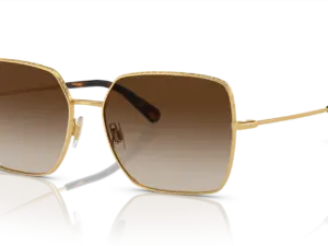 DOLCE & GABBANA  DG2242 02/13