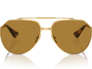 DOLCE & GABBANA  DG2302 02/53