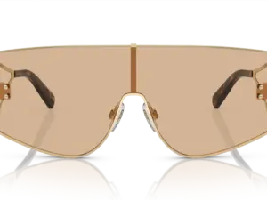 DOLCE & GABBANA  DG2305 13655A
