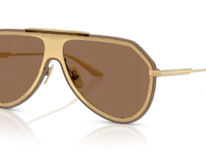 DOLCE & GABBANA  DG2309 02/73