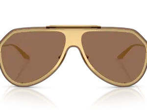 DOLCE & GABBANA  DG2309 02/73