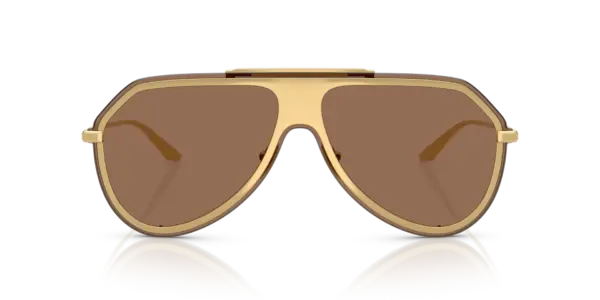 DOLCE & GABBANA  DG2309 02/73