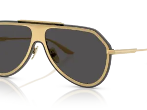 DOLCE & GABBANA  DG2309 02/87