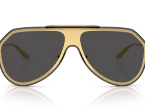 DOLCE & GABBANA  DG2309 02/87
