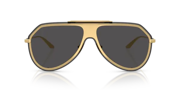 DOLCE & GABBANA  DG2309 02/87