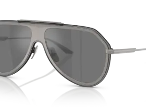DOLCE & GABBANA  DG2309 11086G