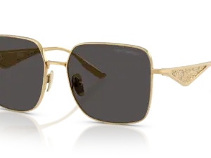 DOLCE & GABBANA  DG2310 02/87
