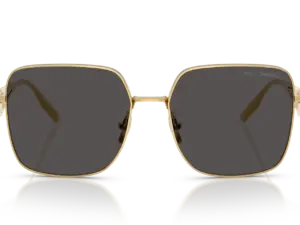 DOLCE & GABBANA  DG2310 02/87