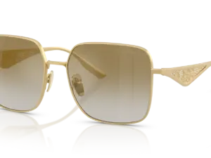 DOLCE & GABBANA  DG2310 12246E