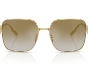 DOLCE & GABBANA  DG2310 12246E