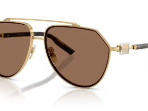 DOLCE & GABBANA  DG2315 02/73